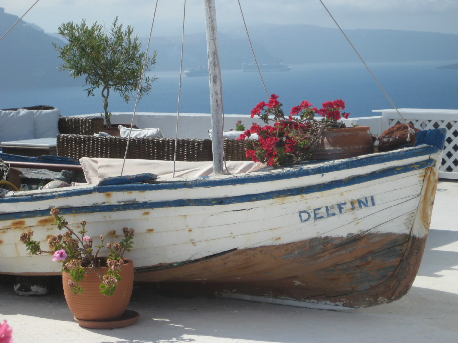 Delfini boat