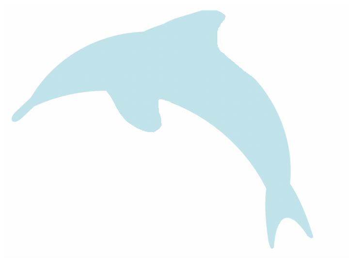 Delfini Group EBM Dolphin
